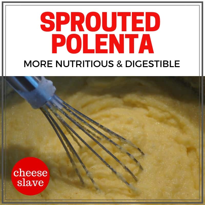 Sprouted Polenta