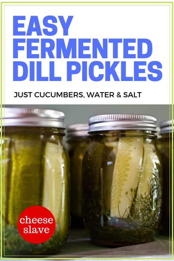 Easy Fermented Dill Pickles