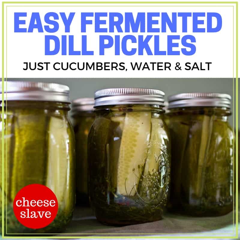 Easy Fermented Dill Pickles